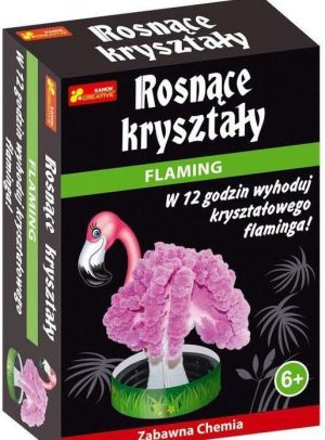 Ranok Krysztalowy flaming 1