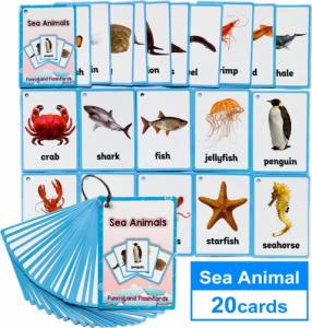 Learning Fun Karty obrazkowe - 'Sea Animals' Learning Fun 1