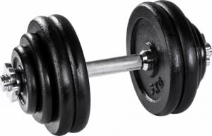 Tectake hantel 402367 żeliwny 1 x 30 kg 1