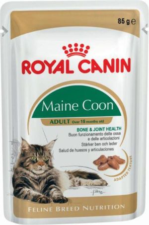 Royal Canin Maine Coon karma mokra w sosie dla kotów dorosłych rasy maine coon 12x85g 1