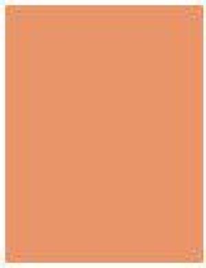 Elizabeth Arden Eight Hour Cream Lip Protectant Stick SPF 15 W 3.7g 2