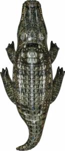 Bestway Dmuchany Krokodyl 193 cm x 94 cm (414787) 7