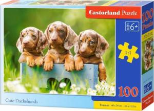 Castorland Puzzle 100 Słodkie jamniki CASTOR 1