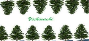 Vickinachi PC, wersja cyfrowa 1