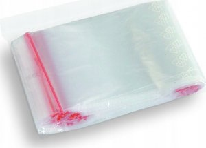 Dalpo Woreczki strunowe 250x350mm, 100 szt. 5