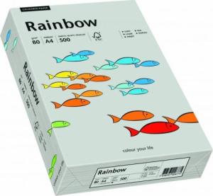 Rainbow Papier xero kolorowy RAINBOW szary R96 88042805 1