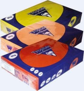 Clairefontaine Papier xero A4 80g TROPHEE pastelowy brzoskwiniowy XCA41970 1