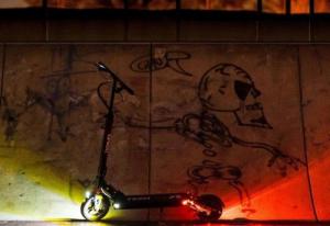 Hulajnoga elektryczna Techlife X5 z dodatkowym wyposażeniem 13