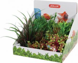Zolux ZOLUX Display roślin M 6 szt. - zestaw A 1