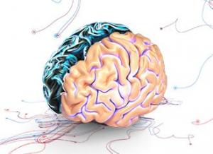 Colway Colway Colgenium pamięć i koncentracja COLOCO PRP 30 pastylek 2