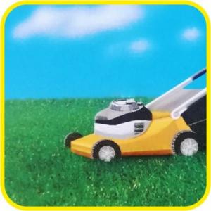 Barenbrug Trawa RPR Play Sport 1kg 4