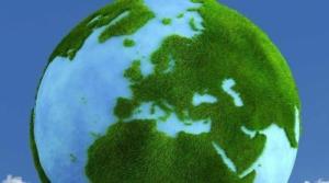 Barenbrug Trawa Barenbrug Odporna na Suszę Water Saver Dry Strong 15kg 16