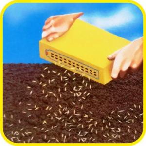 Barenbrug Trawa Barenbrug Odporna na Suszę Water Saver Dry Strong 15kg 7