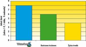 Barenbrug Trawa Barenbrug Odporna na Suszę Water Saver Dry Strong 15kg 10