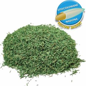 Barenbrug Trawa Barenbrug Regeneracyjna SOS Quick Repair 1kg 16