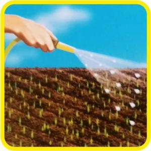 Barenbrug Trawa Barenbrug Regeneracyjna SOS Quick Repair 1kg 6