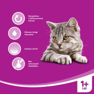 Whiskas DROBIOWE DANIA W GALARECIE 4X100G 3