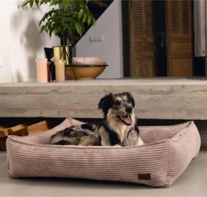 Designed by Lotte Designed by Lotte Legowisko dla psa, prążkowane, różowe, 65x60x20 cm 1