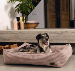 Designed by Lotte Designed by Lotte Legowisko dla psa, prążkowane, różowe, 80x70x22 cm 1