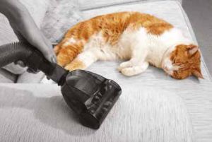 Odkurzacz Vax Air Compact Pet 10