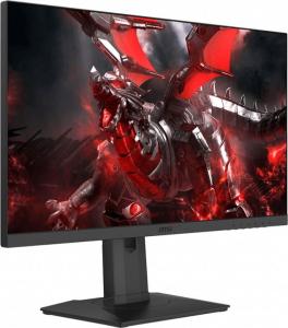 Monitor MSI Optix G251PF 2
