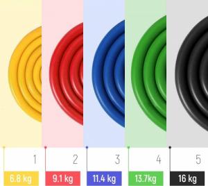 Wozinsky Wozinsky zestaw 5x gumy oporowe do ćwiczeń ekspander fitness + akcesoria (WRTS5-01) 5