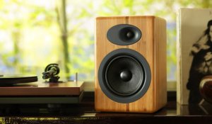 Kolumna AudioEngine AudioEngine A5+ bamboo Goniki Aktywne 6