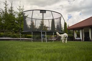Trampolina ogrodowa Thunder ogrodowa Inside z siatką wewnętrzną 6 FT 183 cm 8