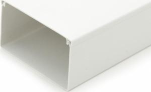 CanaLUX CANALUX LISTWA KANAŁ KABLOWY KORYTKO POKRYWA 100X60 2M BKK CNL-C-10060 3