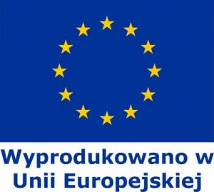 CanaLUX CANALUX LISTWA KANAŁ KABLOWY KORYTKO POKRYWA 100X60 2M BKK CNL-C-10060 6