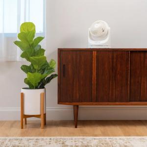 Wentylator Woozoo Cyrkulator Woozoo PCF-HE15 15cm 3 prędkości 30W Biały 5