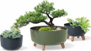 Prosperplast Doniczka Gracia Low DGRL240L zielona 2