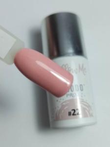 CHIODO PRO CHIODO PRO Follow Me #22 Dream 6ml 2