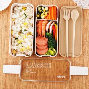 Apte AG479I POJEMNIK 750ML LUNCH BOX 4