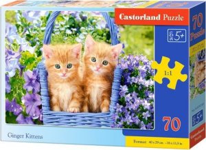 Castorland Puzzle 70 Rude kotki CASTOR 1