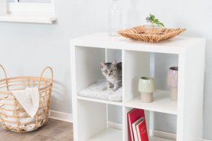 Trixie Mata Harvey dla psa/kota 33 x 38cm biała 8