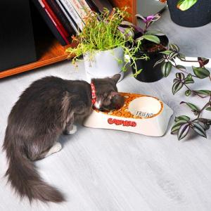 Garfield Garfield, podwójna miska z melaminy dla kota, biała/żółta 3