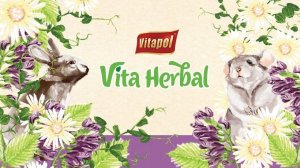 Vitapol Karma podstawowa Vita Herbal dla świnki morskiej 10000g (ZVP-4393) 2