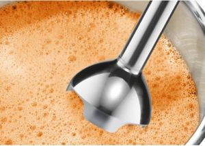 Blender Bosch MSM2620B 8