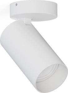 Lampa sufitowa Nowodvorski Biały downlight pokojowy Mono 7807 metalowa tuba kierunkowy spot 1