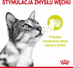 Royal Canin ROYAL CANIN Sensory Mix Smell Taste Feel w Sosie Zestaw 12x85g Mokra Karma Dla Kotów Wybrednych 3