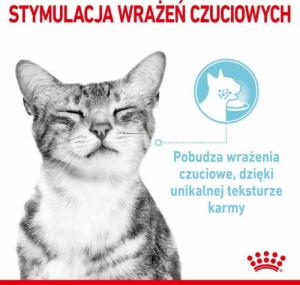 Royal Canin ROYAL CANIN Sensory Mix Smell Taste Feel w Sosie Zestaw 12x85g Mokra Karma Dla Kotów Wybrednych 5