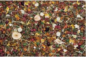 Versele-Laga Karma podstawowa Nature Orginal dla szynszyli 750g (461459) 2