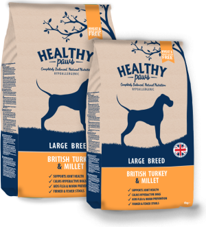 Healthy Paws Indyk & Proso dla psów dużych ras 6 kg 1