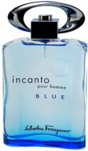 Salvatore Ferragamo Incanto Pour Homme Blue EDT 100 ml 1
