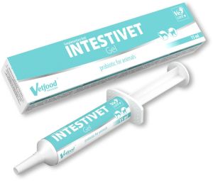 Vetfood Intestivet Gel 15 ml 1