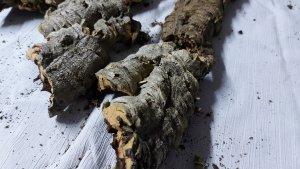 Terra Natura TN-44030 PODŁOŻE DO TERRARIUM ŚCINKI250g ścinki korkowe 2