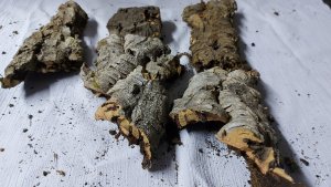 Terra Natura TN-44030 PODŁOŻE DO TERRARIUM ŚCINKI250g ścinki korkowe 3