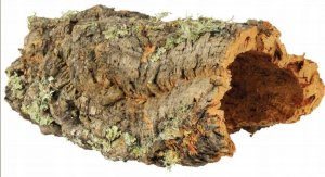 Terra Natura TN-44030 PODŁOŻE DO TERRARIUM ŚCINKI250g ścinki korkowe 4