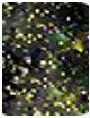 Bourjois Paris 1 Seconde Gel Nail Polish Lakier do paznokci 31 Dangerous Wish 9ml 2